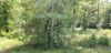 924 FM 1486 photo